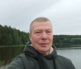 Роман, 51 год, Киров (Кировская обл.)