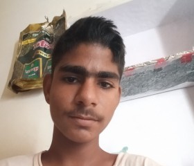 Lalit singh, 18 лет, Jaipur