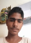 Lalit singh, 18 лет, Jaipur