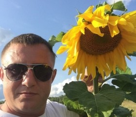 Дмитрий, 42 года, Йошкар-Ола