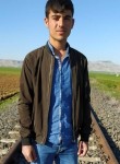 Melik, 22 года, Kızıltepe