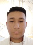 Nursulton, 22 года, Toshkent