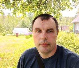 Валерий, 43 года, Луга