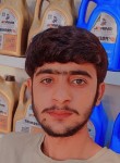 Hamayou Gujjar, 23 года, Ashburn