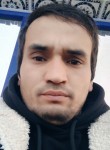 паренсексуальная, 31 год, Toshkent