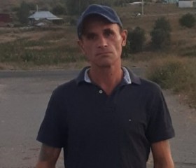 Анатолий, 50 лет, Сызрань