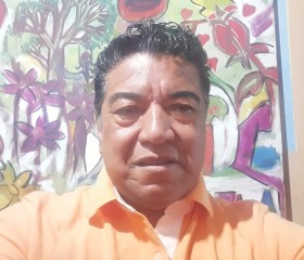 Ary Dias Pereira, 61 год, Campo Grande