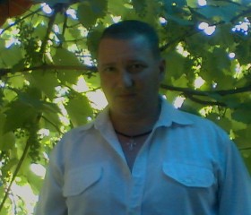 Олег, 51 год, Кропивницький
