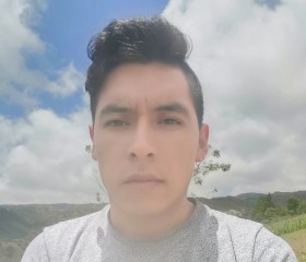 Alfonso Duran, 25 лет, Xalapa