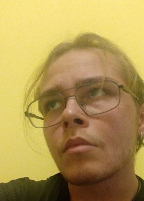 Aleksey, 20, Belarus, Rechytsa