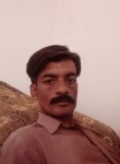 Adil Malik, 35 лет, راولپنڈی