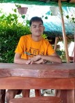 Jeric Tolentino, 29 лет, Aringay