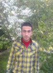 محمود, 36 лет, عمان