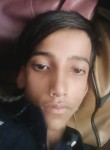 Hifec, 18 лет, Udaipur (State of Rājasthān)