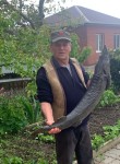 Николай, 51 год, Ростов-на-Дону