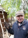 Николай Денисов, 70 лет, Саратов