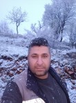 Cuneyt Kral, 38 лет, Ankara