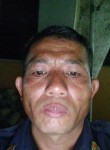 Rogelio evano, 47 лет, Batangas