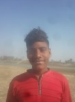 Sharuk, 18 лет, Kanpur