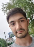 Ромка, 31 год, Барнаул