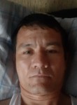 Миша, 41 год, Северодвинск