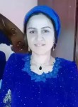 Navruzmo, 40  , Qurghonteppa