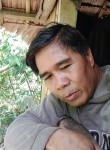 Gamboa Allan fue, 51 год, Roxas City