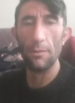Mustafa, 44 года, Aksaray