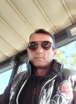 Dragan zlaticani, 53 года, Подгорица