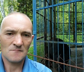 Геннадий, 44 года, Кемерово