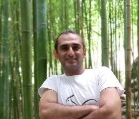 Arash, 42 года, تِهران