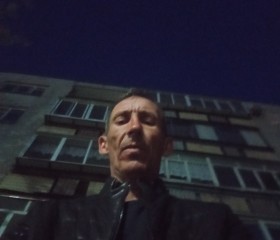 Дима, 49 лет, Заречный (Свердловская обл.)