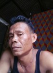 Yanto, 48 лет, Kota Palembang