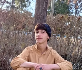 میلاد هراتی, 25, Herat
