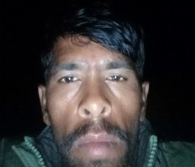 Kamlesh dhoke, 37 лет, New Delhi