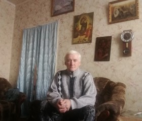 АЛЕКСАНДР ЗЛОБИН, 57 лет, Омск