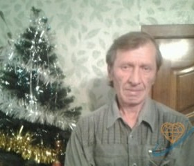 Владимир, 70 лет, Богородицк