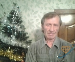 Владимир, 70, Россия, Богородицк
