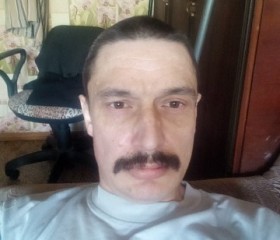 Евгений, 46 лет, Тула