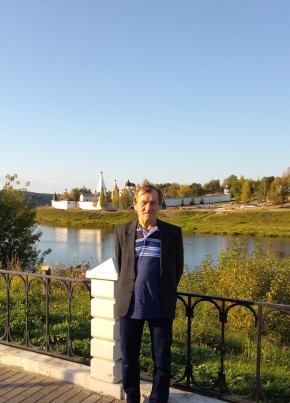 ИВАН, 62, Россия, Дедовичи