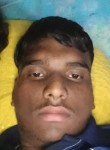 Aashish meghwans, 18 лет, Ajmer