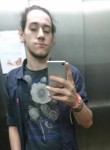 Arthur, 26 лет, São Paulo capital