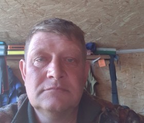 Олег, 52 года, Кировск (Мурманская обл.)