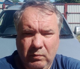 Владимир, 52 года, Ногинск