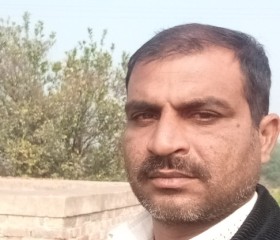 Tariq Saleem, 40 лет, اسلام آباد