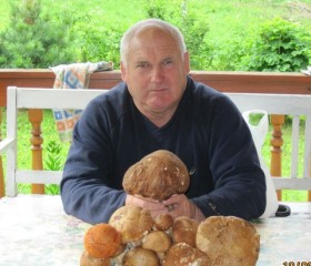 Василь, 68 лет, Тячів