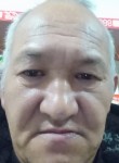 Берик, 51 год, Алматы