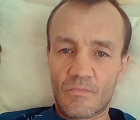 Евгений, 52 года, Курган