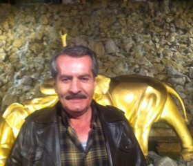 nader, 53 года, تِهران