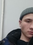 Никита, 20 лет, Саратов